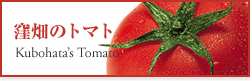 窪畑のトマト